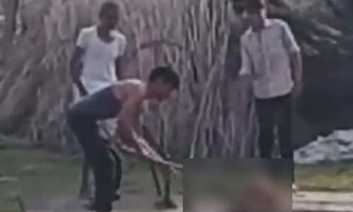 ആടിനെ കൊന്നെന്ന് സംശയം; യുവാക്കള്‍ നായയെ കാലുകള്‍ അറുത്തെടുത്ത് കൊലപ്പെടുത്തി