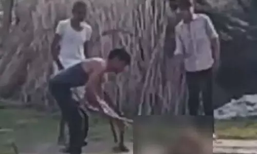 ആടിനെ കൊന്നെന്ന് സംശയം; യുവാക്കള്‍ നായയെ കാലുകള്‍ അറുത്തെടുത്ത് കൊലപ്പെടുത്തി