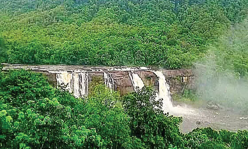 അതിരപ്പിള്ളിയും തുമ്പൂർമുഴിയും തുറന്നു