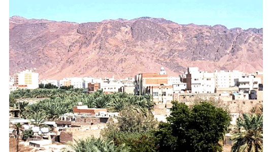 ചരിത്ര സ്മൃതികളുണർത്തി ഉഹ്ദ് താഴ്വര ചരിത്ര സ്മൃതികളുണർത്തി ഉഹ്ദ് താഴ്വര