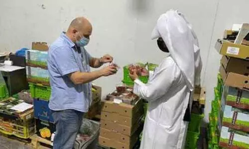 അ​ഴു​കി​യ ത​ക്കാ​ളി; പ​രി​ശോ​ധ​ന​യി​ൽ ക​മ്പ​നി കു​ടു​ങ്ങി