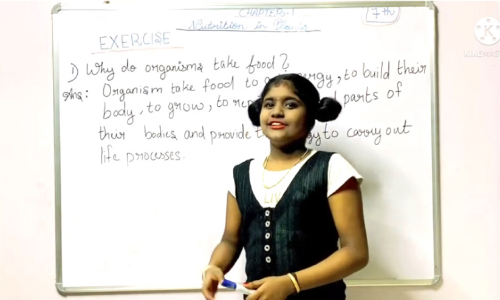 vismaya p nair teaching