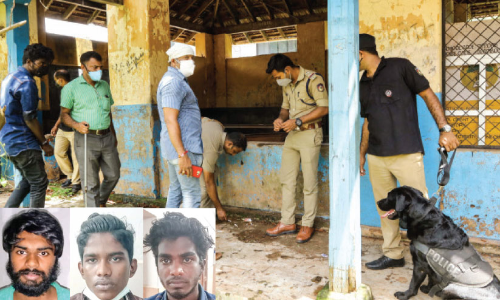 dog squad inspection