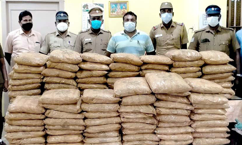 വാടകവീട്ടിൽ ഒളിപ്പിച്ച 210 കിലോ കഞ്ചാവ് പിടിച്ചെടുത്തു വാടകവീട്ടിൽ ഒളിപ്പിച്ച 210 കിലോ കഞ്ചാവ് പിടിച്ചെടുത്തു