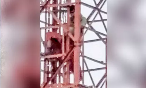 ലോക്ഡൗൺ മൂലം ജീവിക്കാൻ കഴിയുന്നില്ലെന്ന്; ആത്മഹത്യ ഭീഷണിയുമായി മൊബൈൽ ടവറിൽ കയറി ഓ​ട്ടോ ഡ്രൈ​വർ