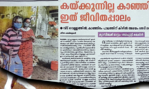 adivakkal chira shaji