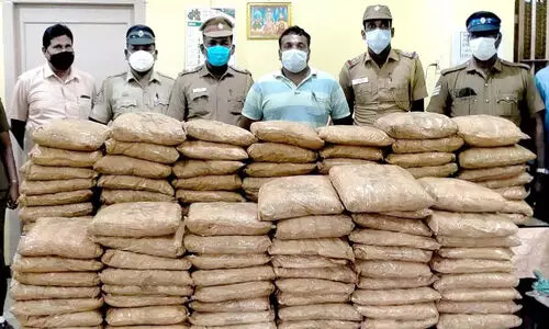 വാടകവീട്ടിൽ ഒളിപ്പിച്ച 210 കിലോ കഞ്ചാവ് പിടിച്ചെടുത്തു