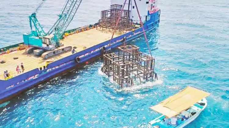 മുസന്ദമിൽ കൃത്രിമ പവിഴപ്പുറ്റ്​ പദ്ധതി പൂർത്തിയായി