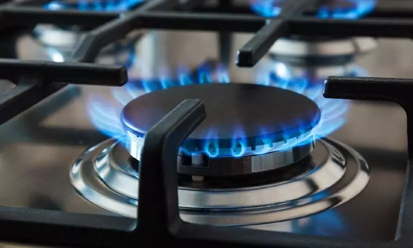 Gas Stove