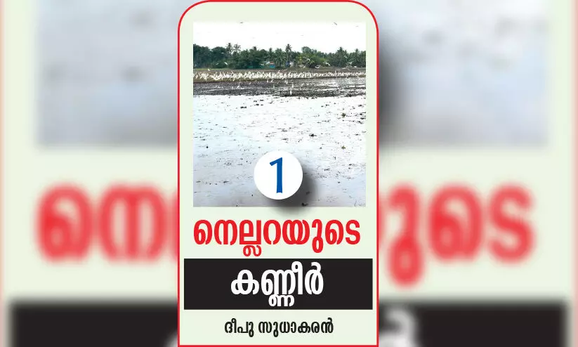 മ​ഴ പെ​യ്യ​ണ​മെ​ന്നി​ല്ല; കി​ഴ​ക്ക​ൻ വെ​ള്ള​പ്പാ​ച്ചി​ൽ മ​തി