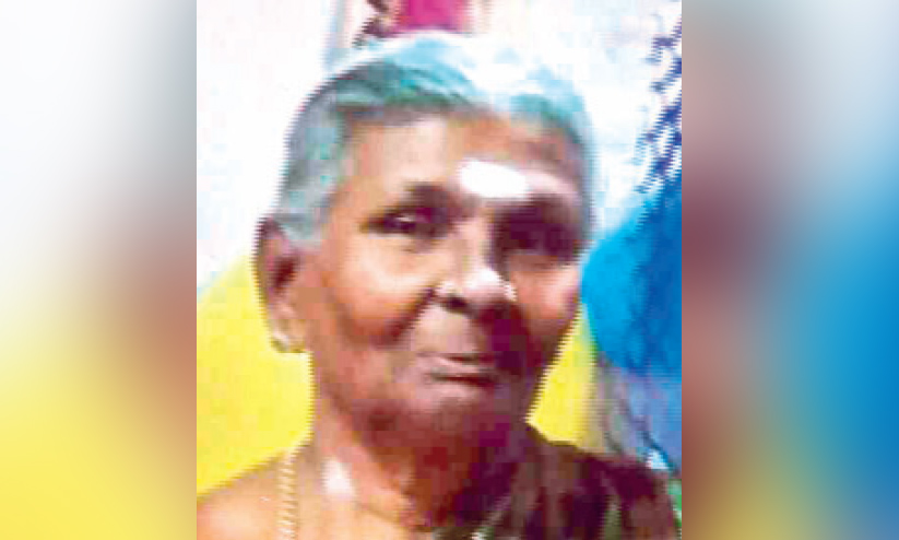 parvathiyammal parvathiyammal