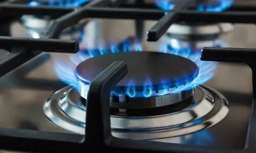 Gas Stove