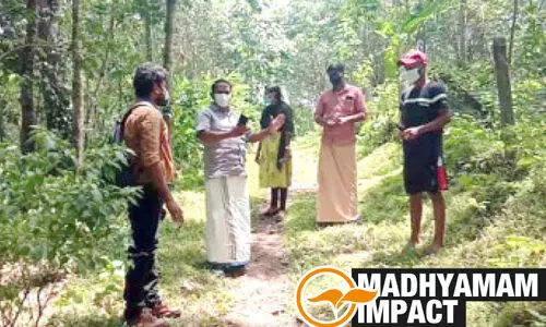 mobile company team at anchal