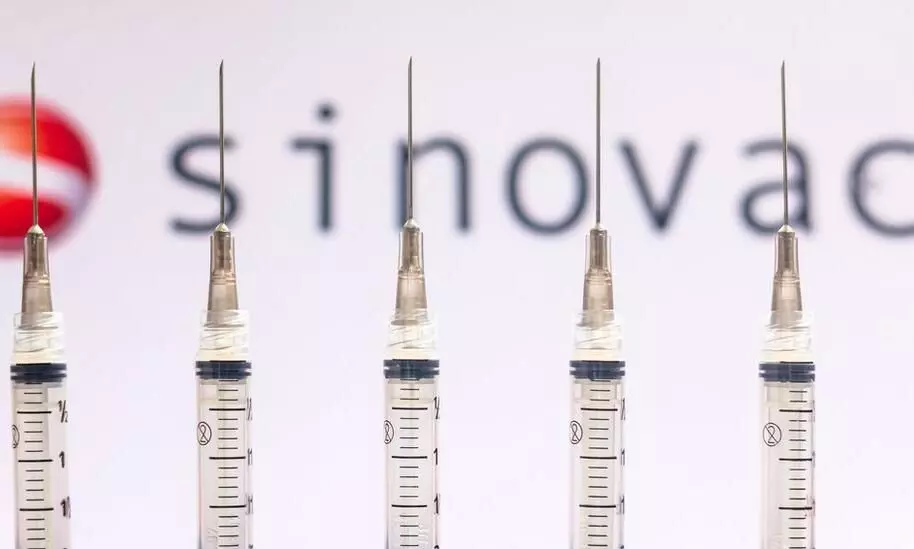 sinovac sinovac