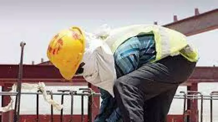 ഉച്ചജോലി വിലക്ക്: ഒരാഴ്ചക്കിടെ 500 നിയമലംഘനം ഉച്ചജോലി വിലക്ക്: ഒരാഴ്ചക്കിടെ 500 നിയമലംഘനം