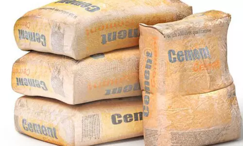 സി​മ​ൻ​റ് ചാ​ക്കു​ക​ളി​ൽ വി​ല​യി​ല്ല; 1.10 ലക്ഷം രൂ​പ പി​ഴ​യി​ട്ടു