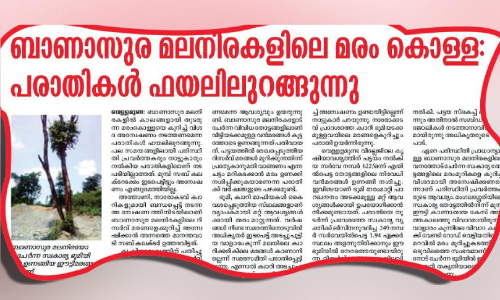 Banasura tree cutting