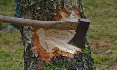 സർക്കാർ നിലപാട്​ നീതിന്യായ വ്യവസ്ഥയോടുള്ള വെല്ലുവിളി -പരിസ്ഥിതി ഐക്യ വേദി