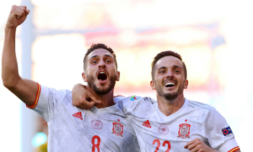 നിർണായക മത്സരം ജയിച്ച്​ സ്​പെയിനും സ്വീഡനും യൂറോ കപ്പ്​ പ്രീക്വാർട്ടറിൽ