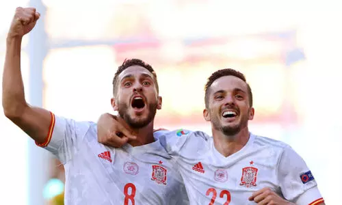 നിർണായക മത്സരം ജയിച്ച്​ സ്​പെയിനും സ്വീഡനും യൂറോ കപ്പ്​ പ്രീക്വാർട്ടറിൽ