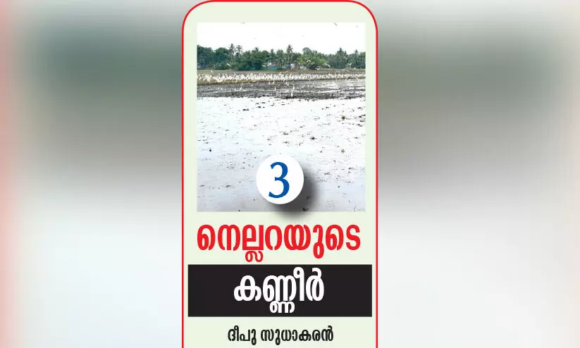 ത​ണ്ണീ​ർ​മു​ക്കം ബ​ണ്ട്, കു​ട്ട​നാ​ടി​ന്​ ശാ​പം