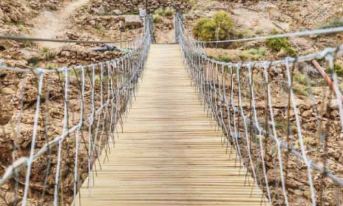 വീട്ടിൽനിന്ന്​ കൃഷിയിടത്തിലേക്ക്​ പോകാൻ തൂക്കുപാലം നിർമിച്ച്​ സ്വദേശി