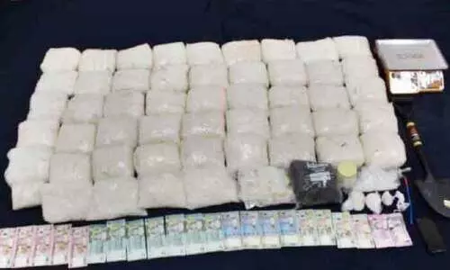 മ​യ​ക്കു​മ​രു​ന്നു​മാ​യി വി​ദേ​ശി പി​ടി​യി​ൽ