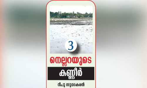 ത​ണ്ണീ​ർ​മു​ക്കം ബ​ണ്ട്, കു​ട്ട​നാ​ടി​ന്​ ശാ​പം