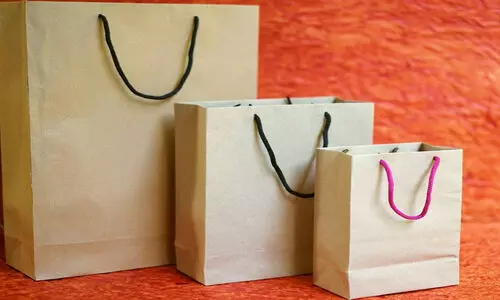 കാരിബാഗിന് 12 രൂപ വാങ്ങി; ഉപഭോക്താവിന് 21,000 രൂപ നഷ്ടപരിഹാരം നൽകാൻ ഉത്തരവിട്ട് കോടതി