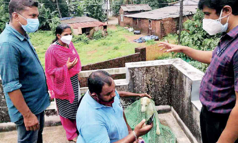 icecream ball struck icecream ball struck