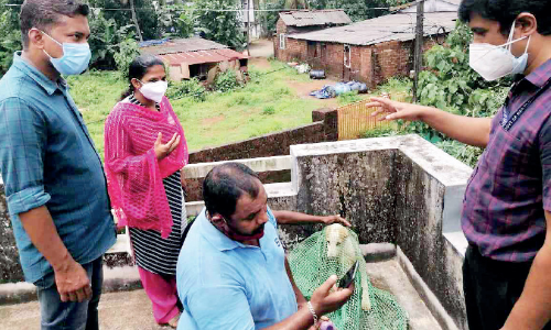 icecream ball struck