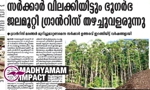 grantees plantation vattavada