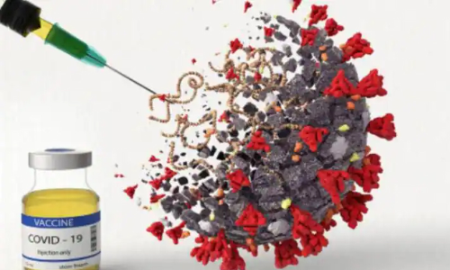 സംസ്ഥാനത്ത്  ഇന്ന്​ 11,546 ​ പേർക്ക്​ കോവിഡ്​ സ്ഥിരീകരിച്ചു; 118 മരണം: ടെസ്റ്റ്​ പോസിറ്റീവിറ്റി നിരക്ക്​ 10.6 ശതമാനം