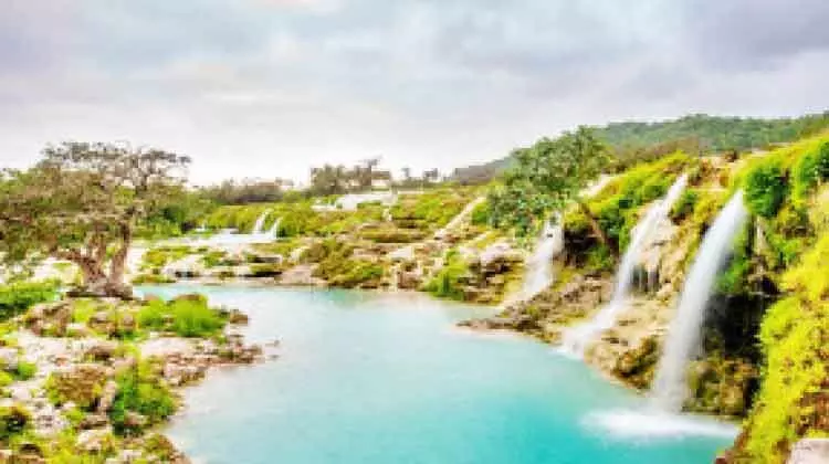 സലാലയിൽ ഖരീഫ് സീസൺ തുടങ്ങി; മഴയെത്തിയില്ല സലാലയിൽ ഖരീഫ് സീസൺ തുടങ്ങി; മഴയെത്തിയില്ല