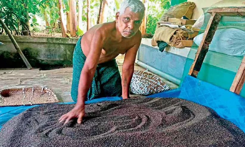 balakrishanan balakrishanan