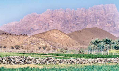 ജൈ​വ വൈ​വി​ധ്യ​ങ്ങ​ളാൽ നി​റ​ഞ്ഞ്​ ദാ​ഖി​റ ഗ​വ​ർ​ണ​റേ​റ്റ്