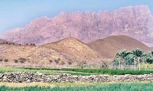 ജൈ​വ വൈ​വി​ധ്യ​ങ്ങ​ളാൽ നി​റ​ഞ്ഞ്​ ദാ​ഖി​റ ഗ​വ​ർ​ണ​റേ​റ്റ്