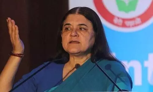 Maneka Gandhi