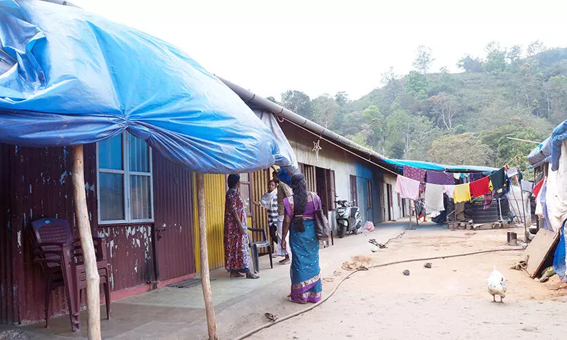 tribes life tribes life