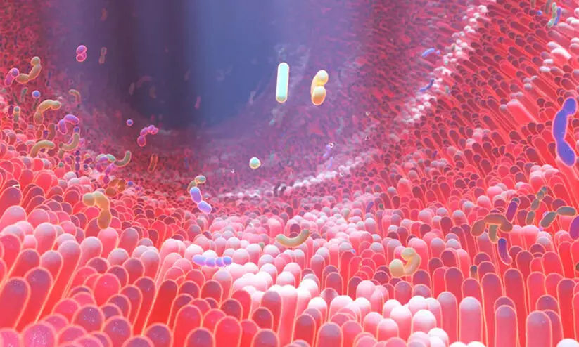 മനുഷ്യ വിസർജത്തിൽനിന്നും തിരിച്ചറിഞ്ഞത് 54,118 തരം വൈറസുകളെ