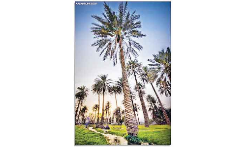 സ​മ്മ​ർ വൈ​ബ്​​സ്​: ഗ്രീ​ഷ്​​മ​കാ​ല ആ​ഘോ​ഷ​ങ്ങ​ൾ​ക്ക്​​ തു​ട​ക്കം