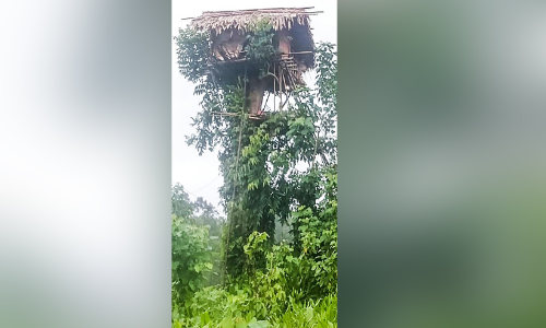 ഏറുമാടത്തിൽ അന്തിയുറങ്ങി ഏഴ് ആദിവാസി കുടുംബം