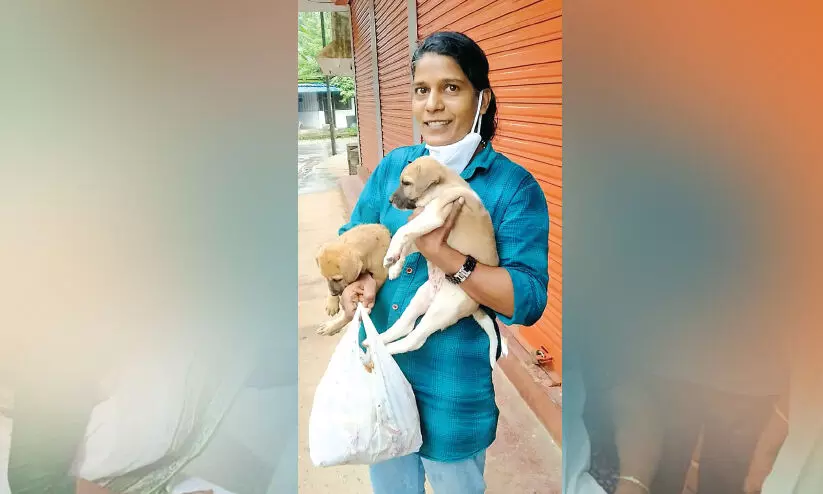 ഈ സ്നേഹത്തിനും കരുണക്കും ഫുൾ മാർക്ക് ഈ സ്നേഹത്തിനും കരുണക്കും ഫുൾ മാർക്ക്