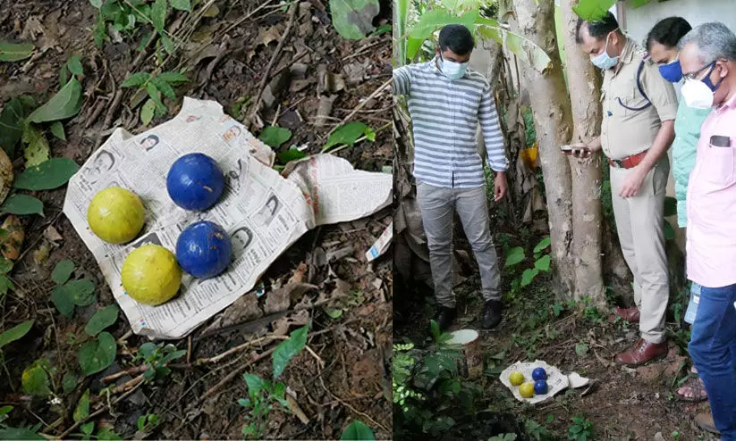തില്ലങ്കേരിയിൽ സ്​കൂൾ വളപ്പിൽ നാല്​ ബോംബുകൾ കണ്ടെത്തി