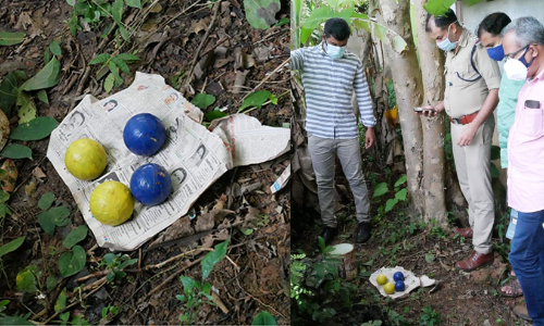 തില്ലങ്കേരിയിൽ സ്​കൂൾ വളപ്പിൽ നാല്​ ബോംബുകൾ കണ്ടെത്തി