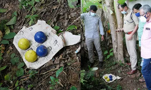 തില്ലങ്കേരിയിൽ സ്​കൂൾ വളപ്പിൽ നാല്​ ബോംബുകൾ കണ്ടെത്തി