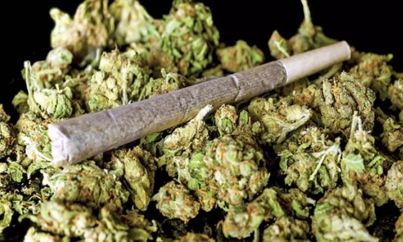 വീര്യം കൂട്ടാൻ കള്ളിൽ കഞ്ചാവ്: തൃ​ശൂ​ർ ജില്ലയിലും കേസെടുത്തു