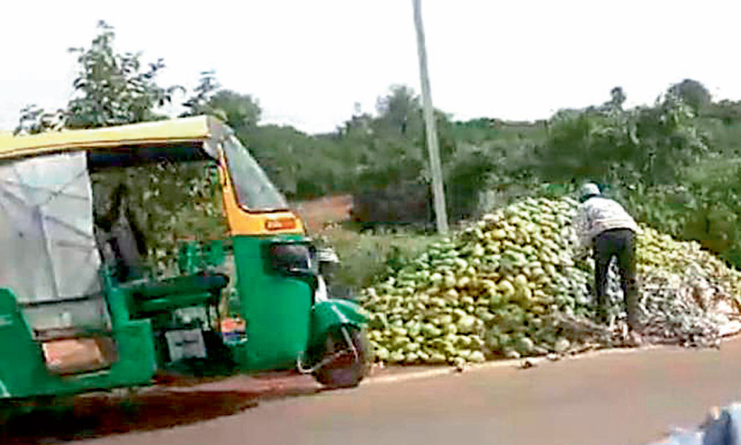 വിലത്തകർച്ചയും ഫംഗസ് ബാധയും; ബംഗളൂരുവിൽ മാമ്പഴം റോഡിൽ തള്ളി കർഷകർ വിലത്തകർച്ചയും ഫംഗസ് ബാധയും; ബംഗളൂരുവിൽ മാമ്പഴം റോഡിൽ തള്ളി കർഷകർ