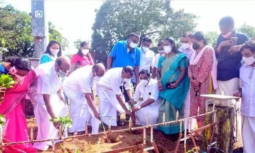 flower city fort kochi flower city fort kochi