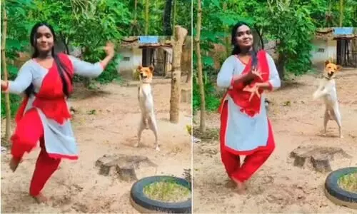 ആർദ്ര നൃത്തം ചെയ്​തപ്പോൾ മിട്ടു പറഞ്ഞു-മീ ടൂ -ഏറ്റെടുത്ത്​ സോഷ്യൽ മീഡിയ